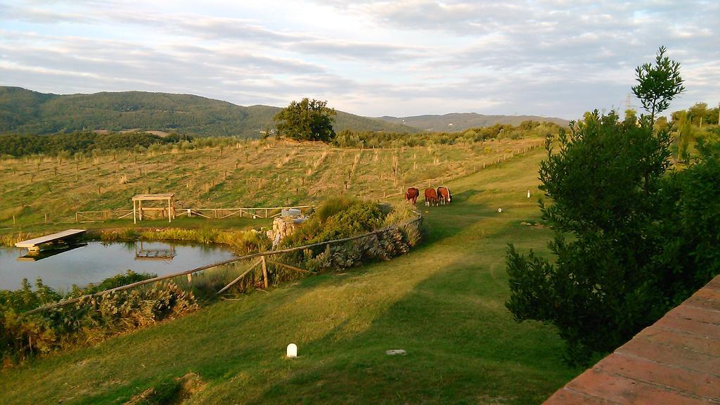 Fattoria San Paolo Agriturismo Montecastelli Pisano Exterior foto